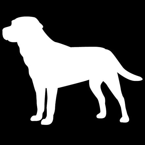 Labrador Retriever מדבקה מדבקה ויניל מכוניות משאיות טנדרים מחשב נייד | לבן | 5.5 x 4.25 פנימה | lli019